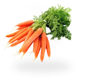Carrots