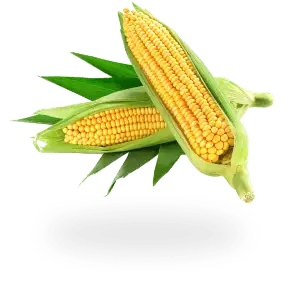 Corn