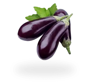 Eggplant