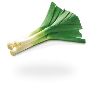 Leek