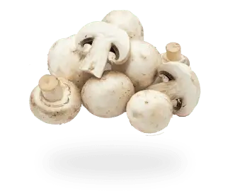 Mushrooms